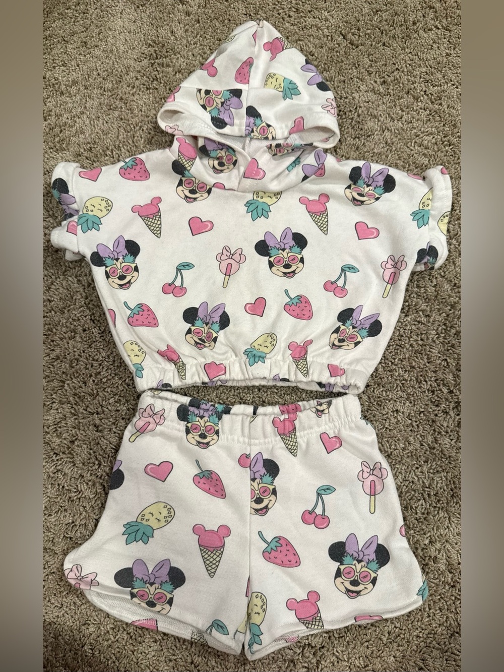 Disney Minnie Mouse 2pc Set Toddler Girl 2T Floral Fruit Ice Cream Hoodie Shorts